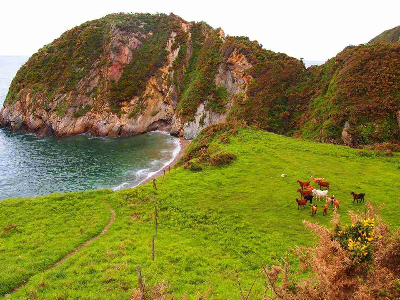 Cala Salencia, Playas para Perros en Asturias