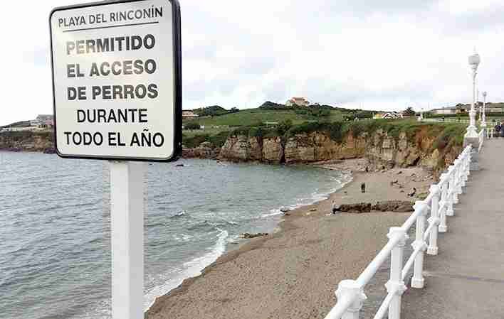 Playa con acceso para perros playa del rinconin