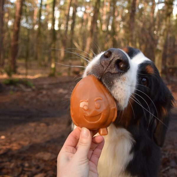 Garden Bytes Fruit Friends Veganos Perro - Imagen 2