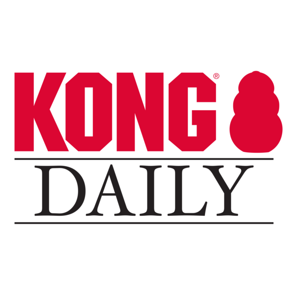 KONG Daily Newspaper XL - Imagen 5