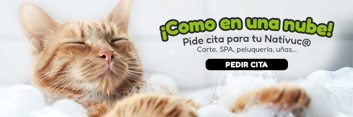 Peluquería SPA y uñas para gatos en Asturias