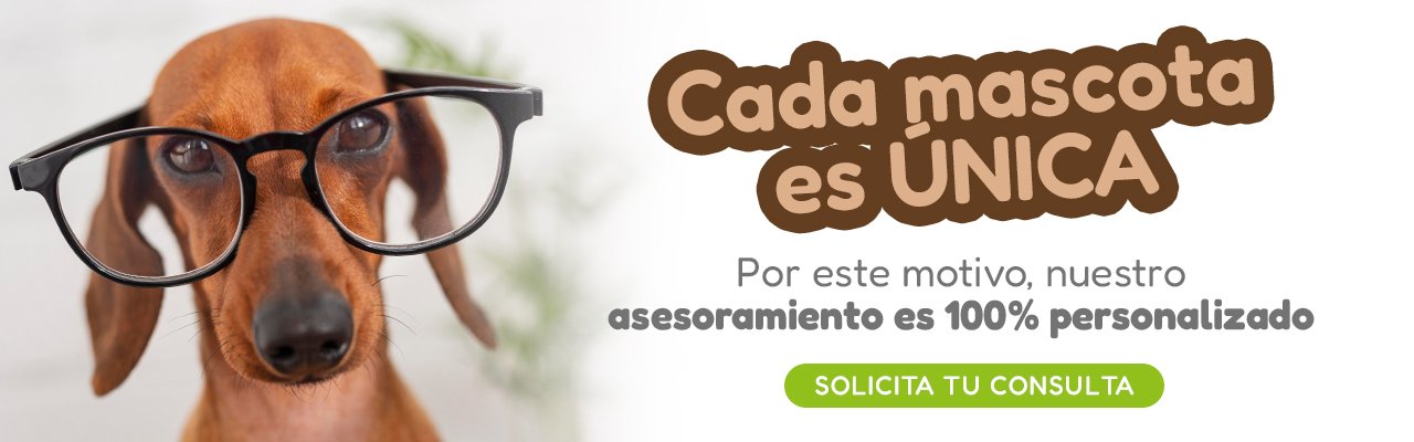 Asesoramiento gratuito mascotas Nativus Asturias Online