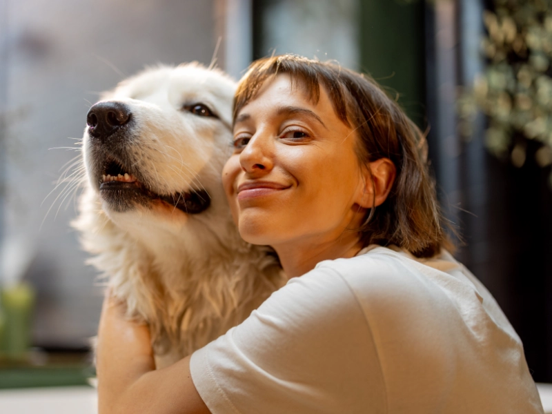 Productos online para mascotas