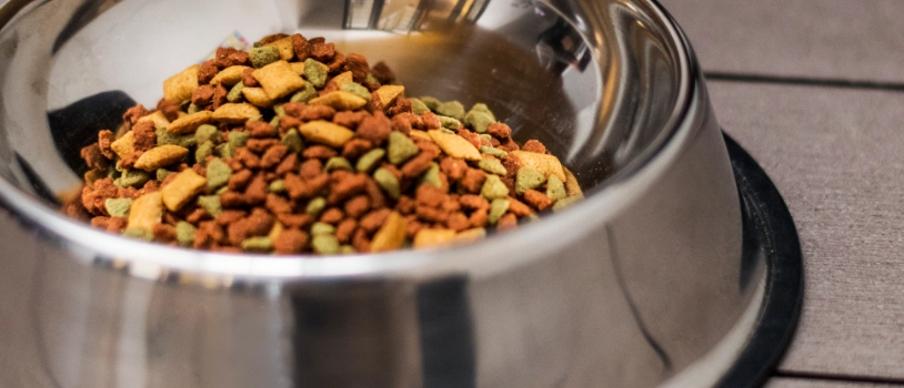 Etiquetado pienso de perros esterilizados